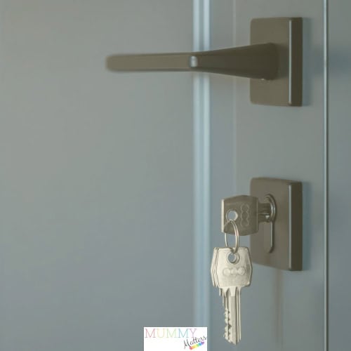 Commercial door locks