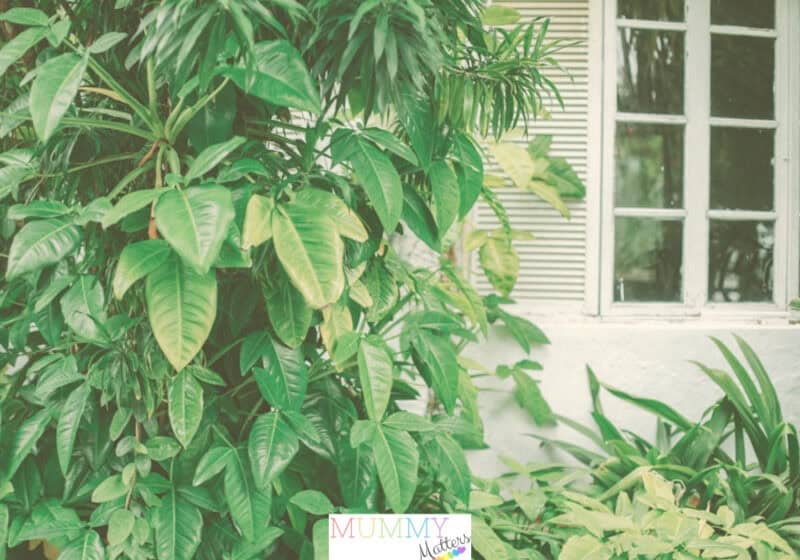 Make Your Home Beautiful From the Outside