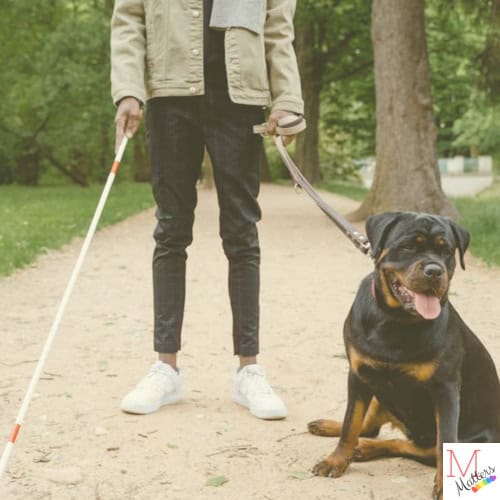 get a service dog