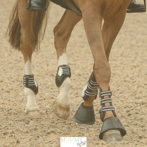 horse's boots