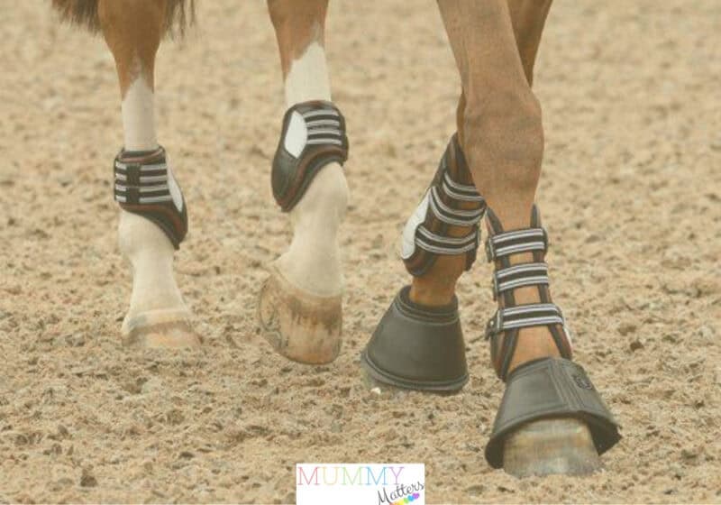 Horse's boots