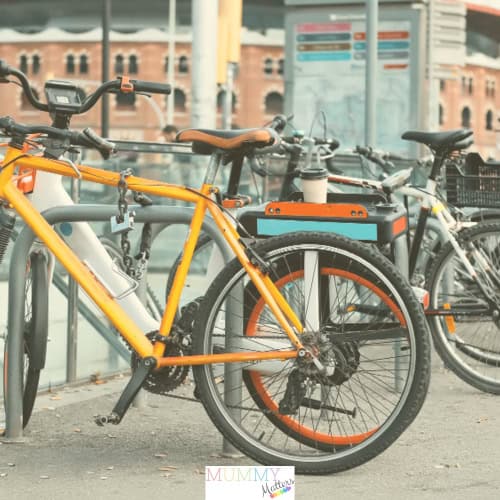 standard bike rentals
