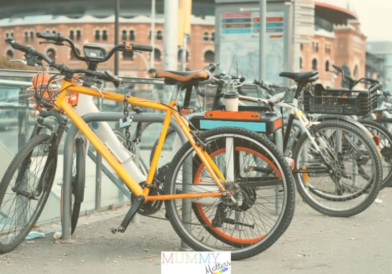 Bike rental