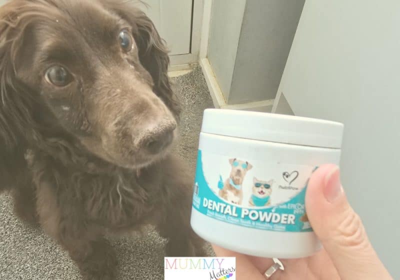 Nutripaw Dental Powder