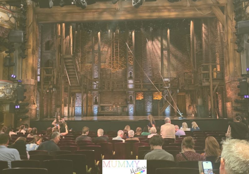 Hamilton View From My Seat