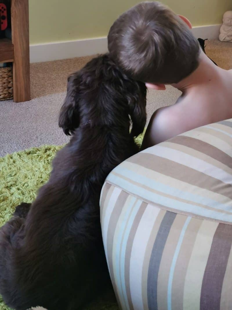 Bramble and Albie