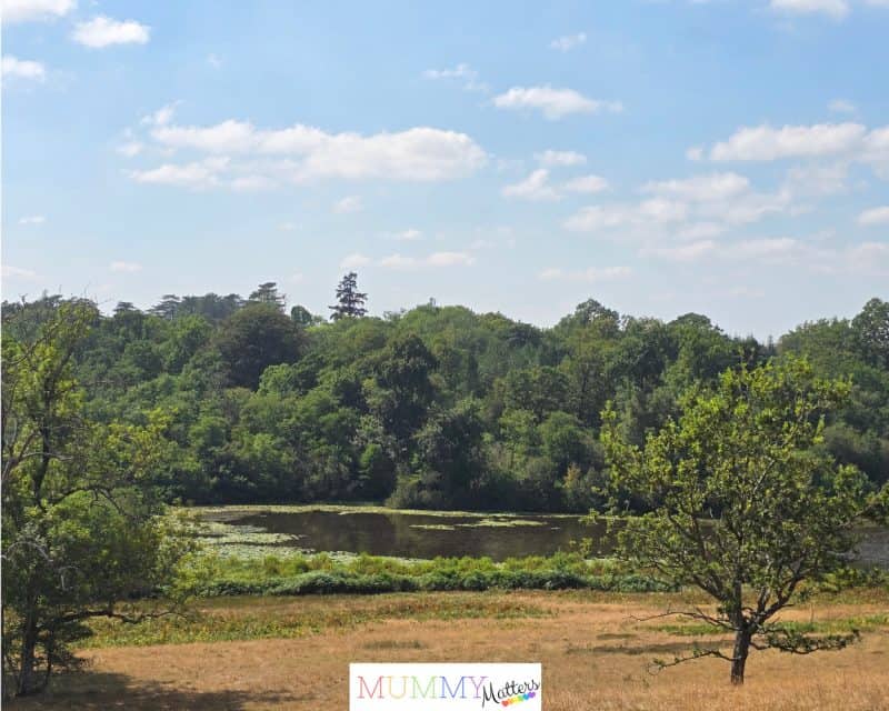 Highclere Castle Lake