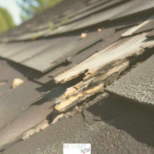 How to spot roofing issues