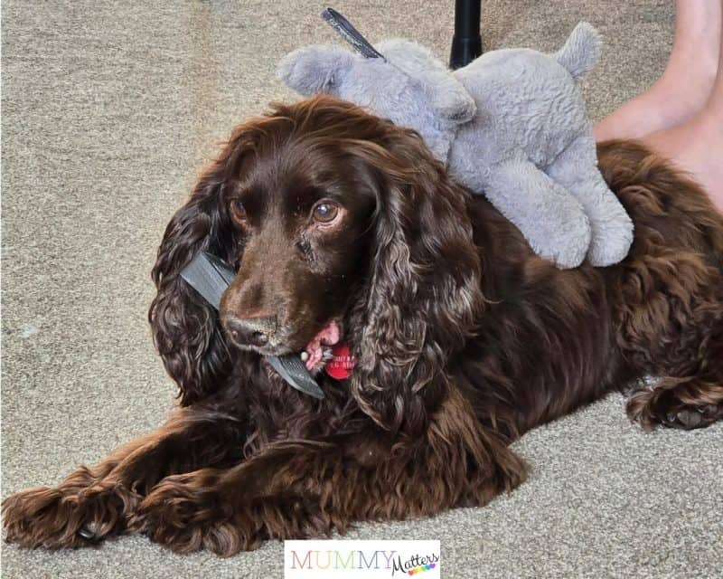 Is that my doorstop?