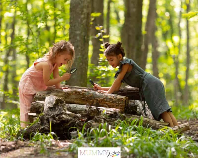 Nature treasure hunt