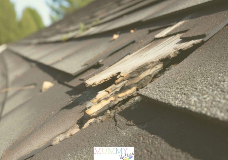 How to spot roofing issues