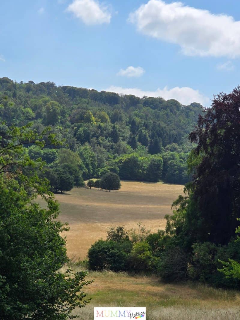 The View from the Airman at Highclere Castle
