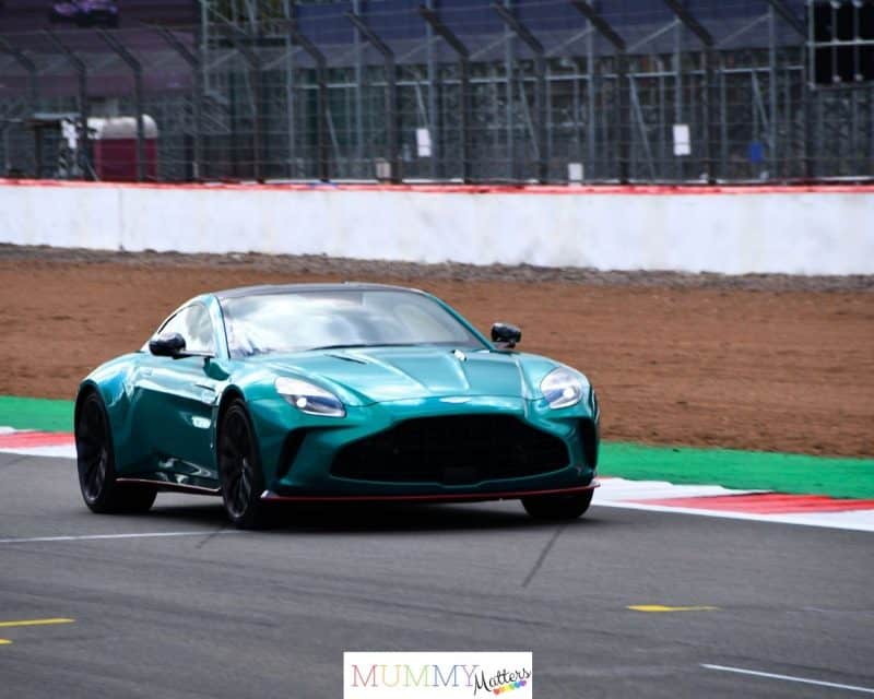 Aston Martin CarFest Silverstone