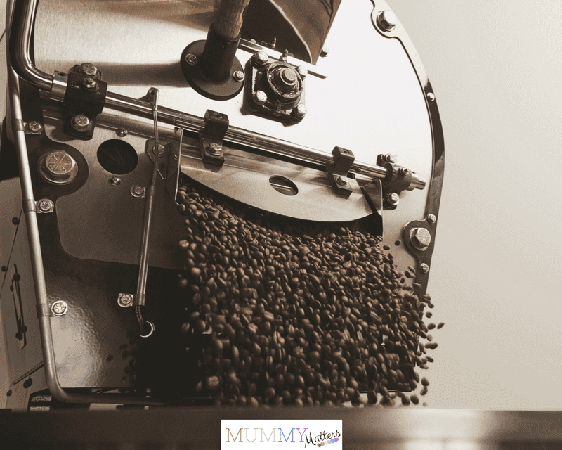 Coffee roaster pouring out warm coffee beans