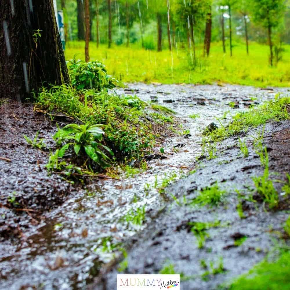 Drainage problems around your property