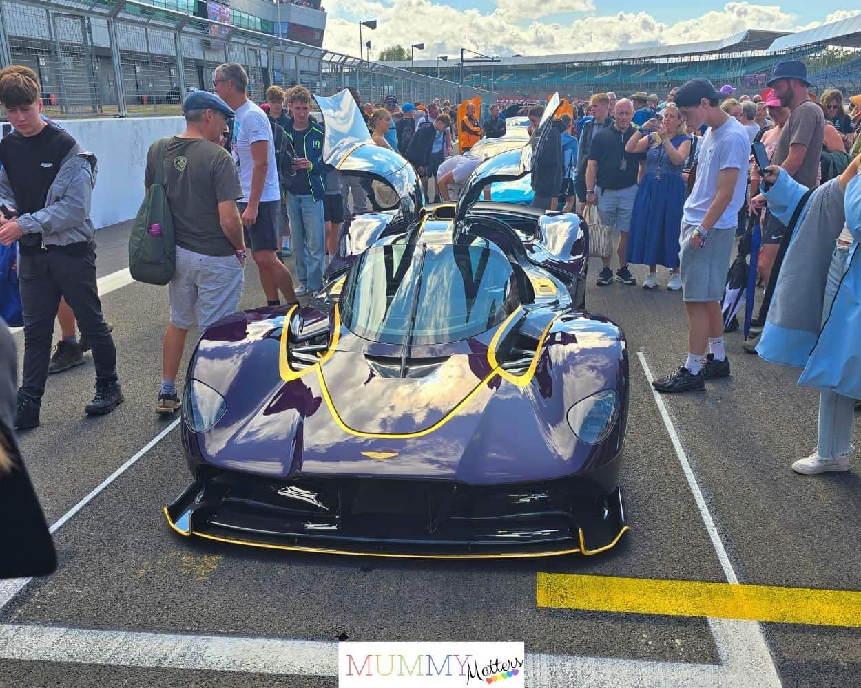 Grid Walk at CarFest Silverstone 1