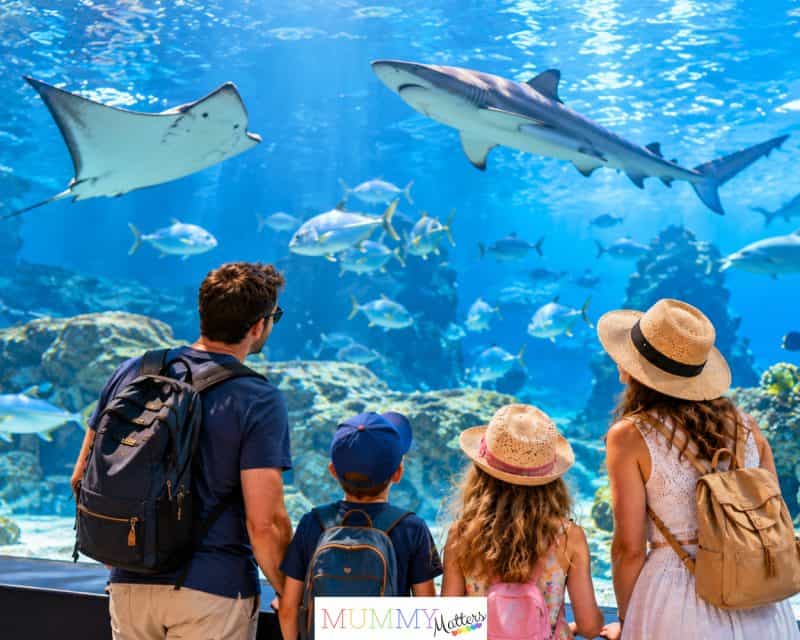 Family visiting an aquarium