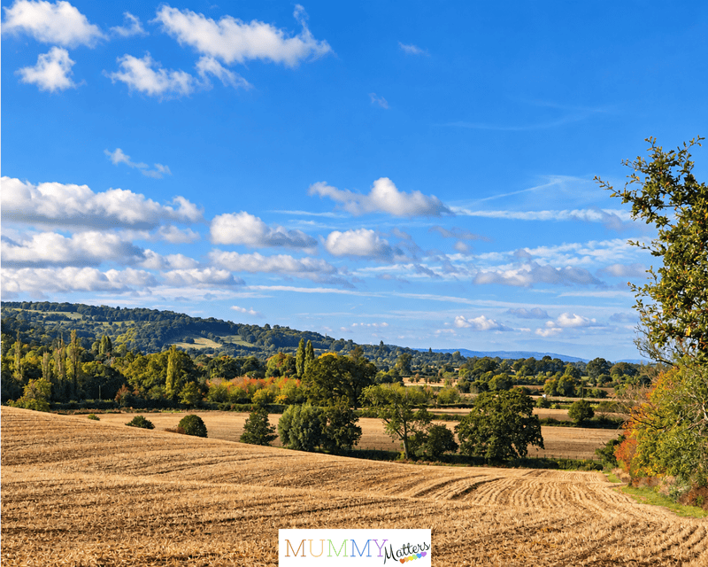 Norton Grounds countryside 1