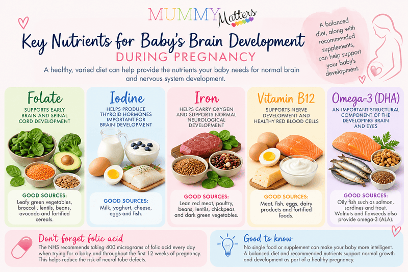 Infographic showing five key nutrients for baby brain development during pregnancy: folate, iodine, iron, vitamin B12 and omega-3 DHA, with food sources