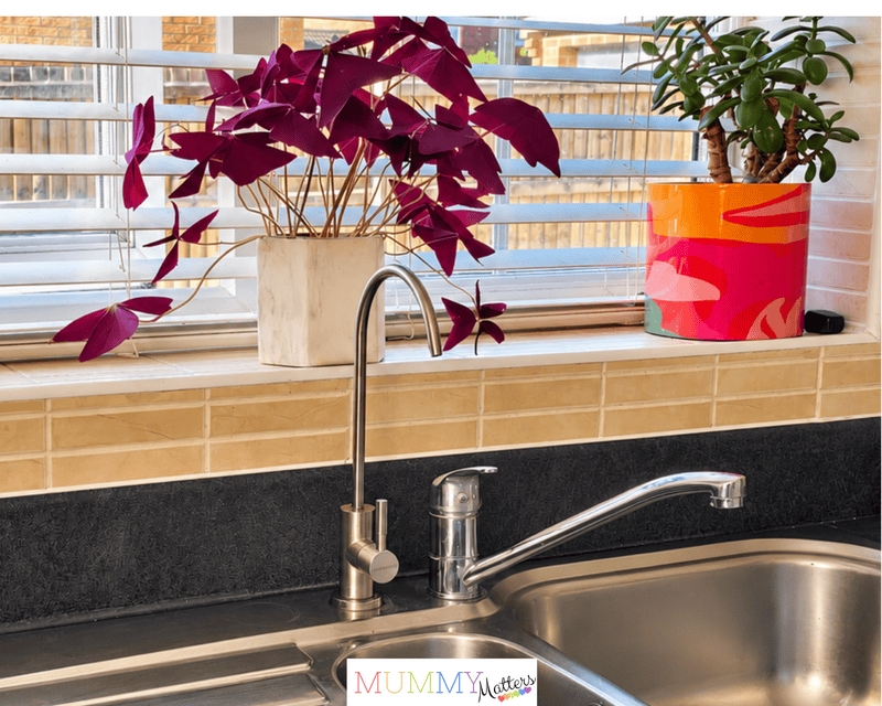 Aquaphor Reverse Osmosis Water Filter Tap