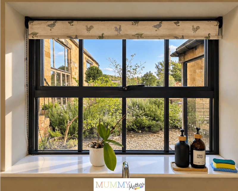 Window View