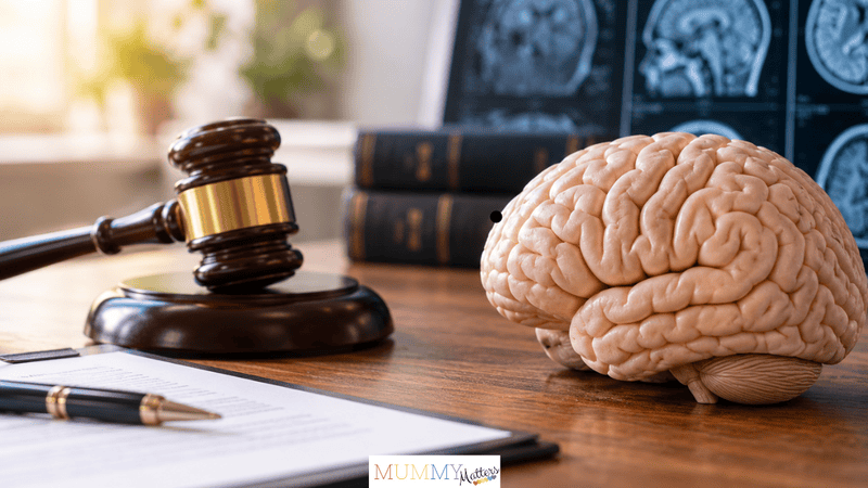 Anatomical brain model beside a judge's gavel, representing medical and legal evidence in brain injury claims.