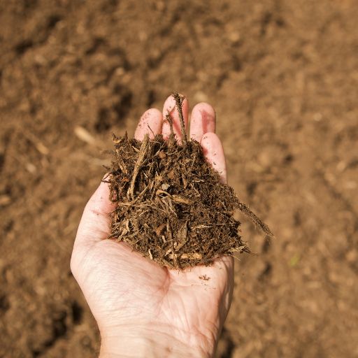 Mulch