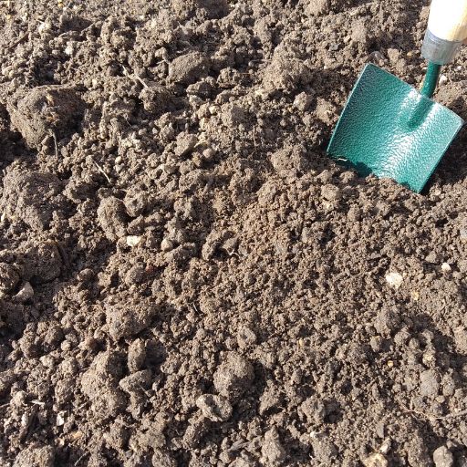 Topsoil