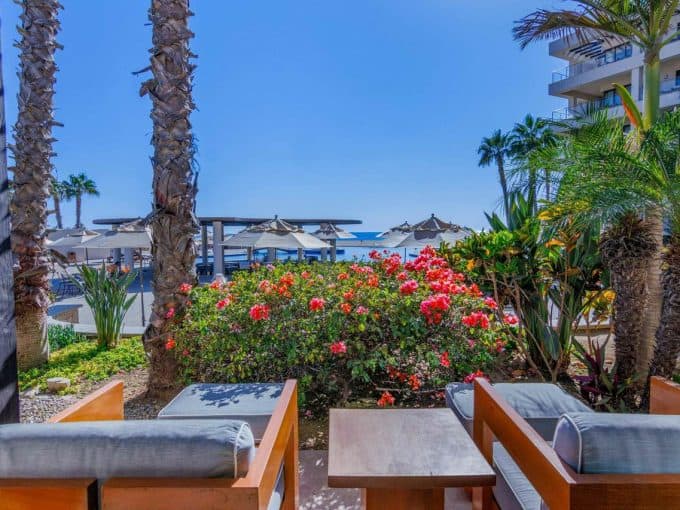 Garden Terrace With Palm Trees At Ocean Club Residences, Diamante