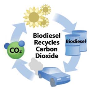 Fun eco-ride graphic with spinning sunflowers, barrels, CO2 clouds, and a cartoon car showcasing green energy at EcoLand Park!.