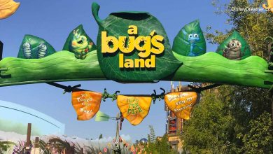 A Bug's Land