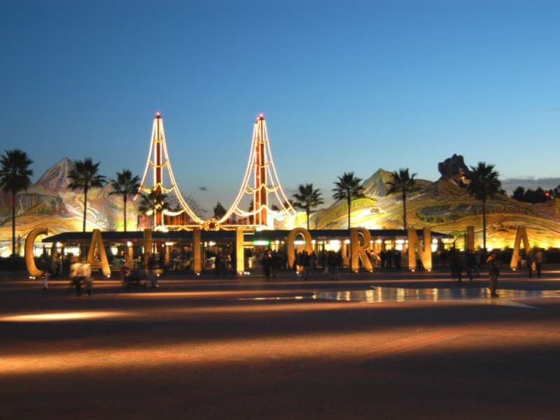 The palm trees are lit up at night.