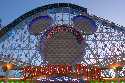 Paradise Pier - California Screamin' Loop