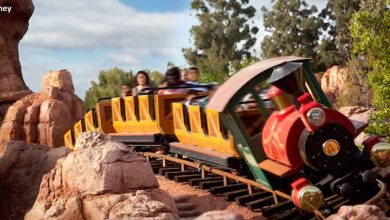 Big Thunder Mountain Railroad
