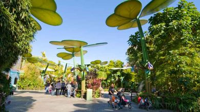 A Bug's Land