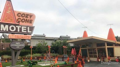 Cozy Cone