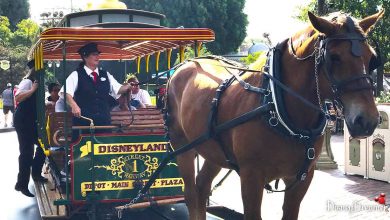 Horse Trolley Driver