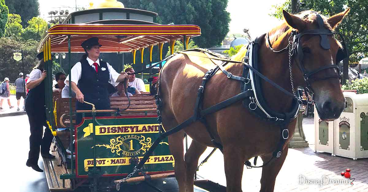 Horse Trolley Driver