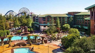 Aerial view of Disneyland Resort’s sparkling pools, lush grounds, and iconic theme park attractions in the distance.
