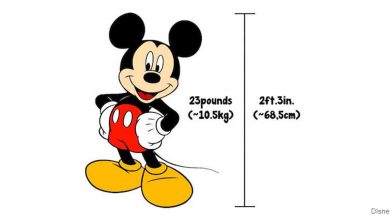 Mickey Height