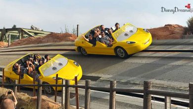 Radiator Springs Racers