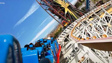 California Screamin
