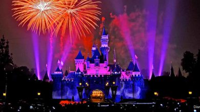 Castle Fireworks