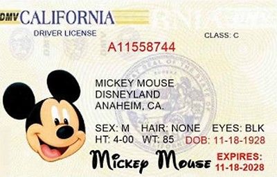 Mickey Drivers License