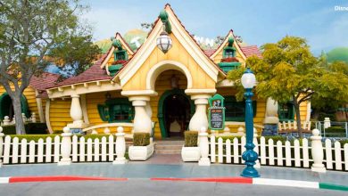Mickey's House