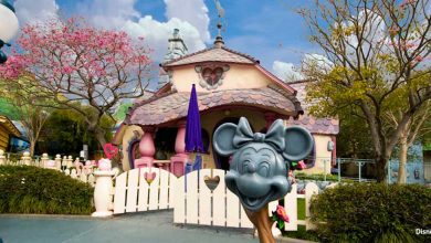 Minnie's House