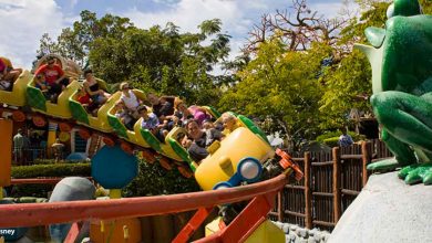 Gadget's Go Coaster