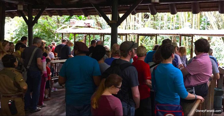 Animal Kingdom Line