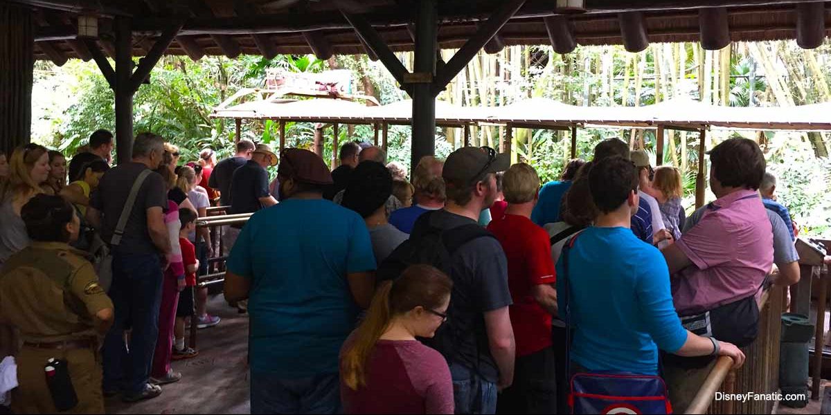 Animal Kingdom Line