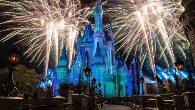 Castle Night Fireworks